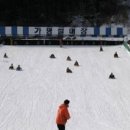 가평썰매장 이미지