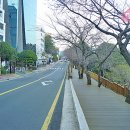 달맞이길 네이버블로그