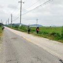 정우면사무소 이미지