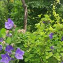 수배농장 이미지