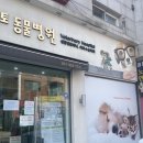 토론토동물병원 이미지