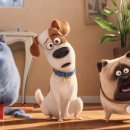 마이펫의 이중생활 이미지