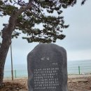금장해수욕장 Daum카페