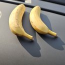 장밖휴게소 | 아이오닉 9 첫 차박!🚗 금강휴게소에서 차박 솔직 후기