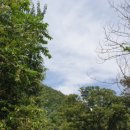 호명산캠프 이미지