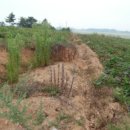 율지8로 이미지