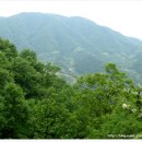 진홍목장 이미지