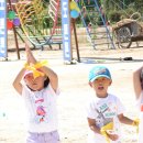 채운초등학교 이미지