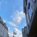 골드니스 이미지