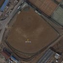 탄금야구장 이미지