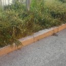 찌르레기 화장실 이미지