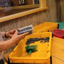 노천농장 이미지