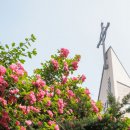 천주교천호동교회