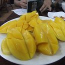 망고(MANGO)