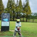 구정초병설유치원 이미지