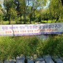 이현1교 이미지