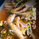 부영A단지앞도로1 | [공지] 경주 현지인 찐맛집 향림매운탕ㅣ보문단지 잡어매운탕 직접 기른 채소 후기