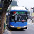 서리풀문화광장2 이미지