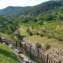 비학산자연휴양림 이미지