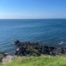 미담하우스 | 제주살이 후기 4편 제주시 애월 맛집 도민 추천 우진해장국 고등어회 로미뮤직하우스 한라미담우동