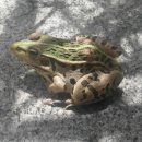 사천초등학교 이미지