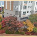 더좋은힐스공인중개사사무소 이미지