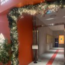 디오시스템 | [부산여행/겨울온천] 클럽디오아시스 알차게 즐기기, 내돈내산 리얼 후기(청수당/스파 등)