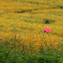 명재농장 이미지