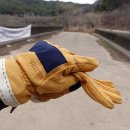 5도바이크 이미지