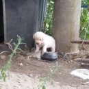 강창교~성주대교 | [여행 후기] 달성 하목정, 굉장히 불쾌한 여행