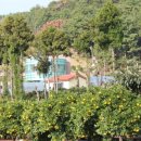 무릉외갓집영농조합법인 이미지