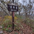 국토종주 #설악유달 9구간, 숲을 뒤흔드는 바람소리 요란한데 새소리 뒤엉켜 메아리 친다. 이미지