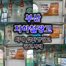 달팽이신경과 이미지