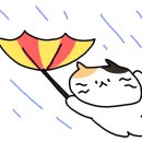 베니케이크 이미지