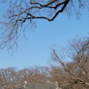 해미-비상-3 | 충남 서산 해미읍성, 천주교 성지 해미읍성, 충남 서산 가볼만한곳 해미읍성, 정겨운 다듬이 소리가...