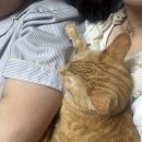 (주)애플웨어 이미지