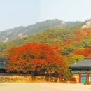 2024-주216 이미지