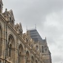 자연사 세탁소 이미지