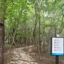 UR(파주시)-[구름다리길]-하-2 | [전라남도]8월 산행 폭염주의보 "월출산" 중도 하산(구름다리)