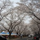 김유신장군로 이미지