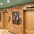 라니휘트니스 이미지