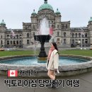뚜벅이 | 캐나다 빅토리아섬 벤쿠버 빅토리아 당일치기 여행코스 뚜벅이 후기