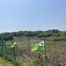 기린농장 이미지