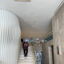 엠에스(MS) 이미지