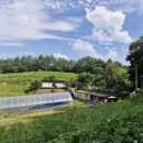 숲치유조경