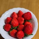 광택농장 이미지