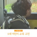 6세 아이 유치원생 교육 고민 영어 미술 피아노 예체능 운동