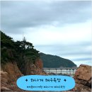 씨스카이푸드 | 무의도 하나개 해수욕장 다녀왔어요! 주차 · 짚라인 · 해상 탐방로까지 한눈에 보는 여름 바다 여행