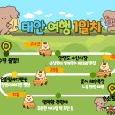 안면도영목항 | [태안 여행 1일차] 안면도 숨은 명소! 영목항 전망대 방문 후기