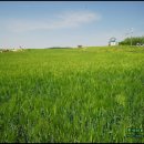 학운목장 이미지